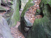 rock formations with fallen dried fall leaves