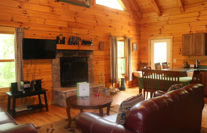 log living room, fireplace