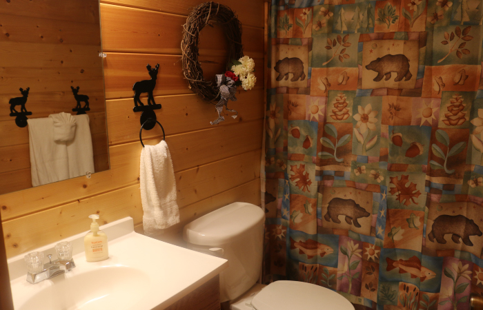 bathroom, bear shower curtain