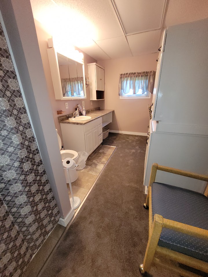 bathroom, carpet