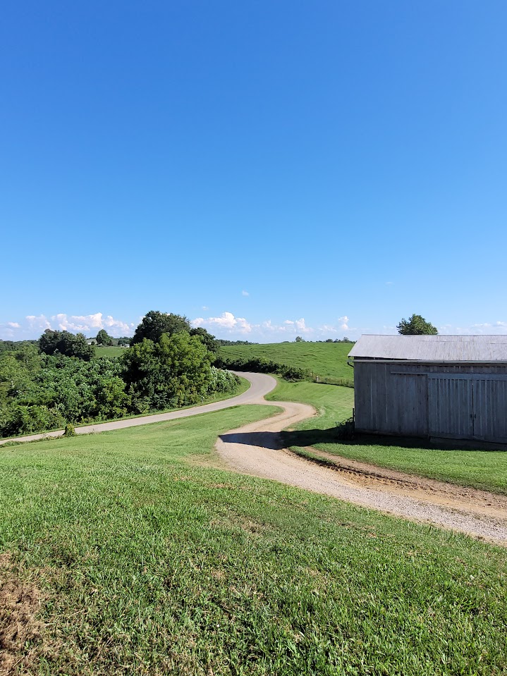 long gravel driveway, barn