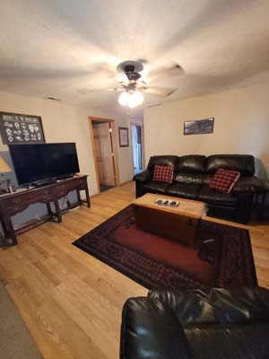 living room, tv on stand, leather couch